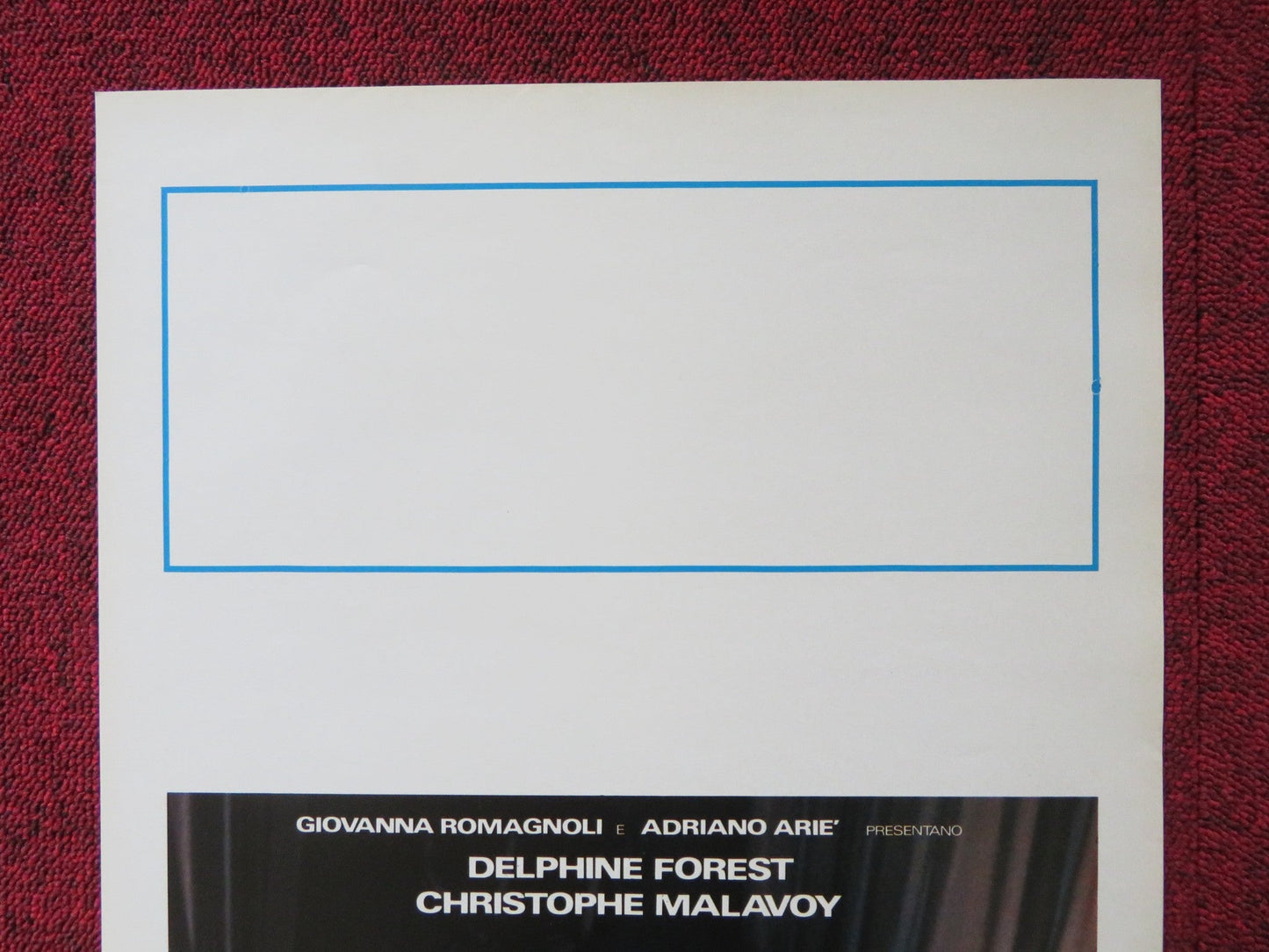 I DIVERTIMENTI DELLA VITA PRIVATA ITALIAN LOCANDINA POSTER DELPHINE FOREST 1990 Rendezvous Cinema Movie posters