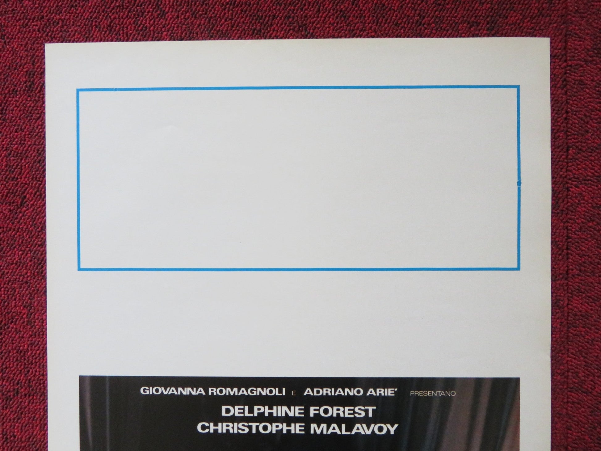 I DIVERTIMENTI DELLA VITA PRIVATA ITALIAN LOCANDINA POSTER DELPHINE FOREST 1990 Rendezvous Cinema Movie posters