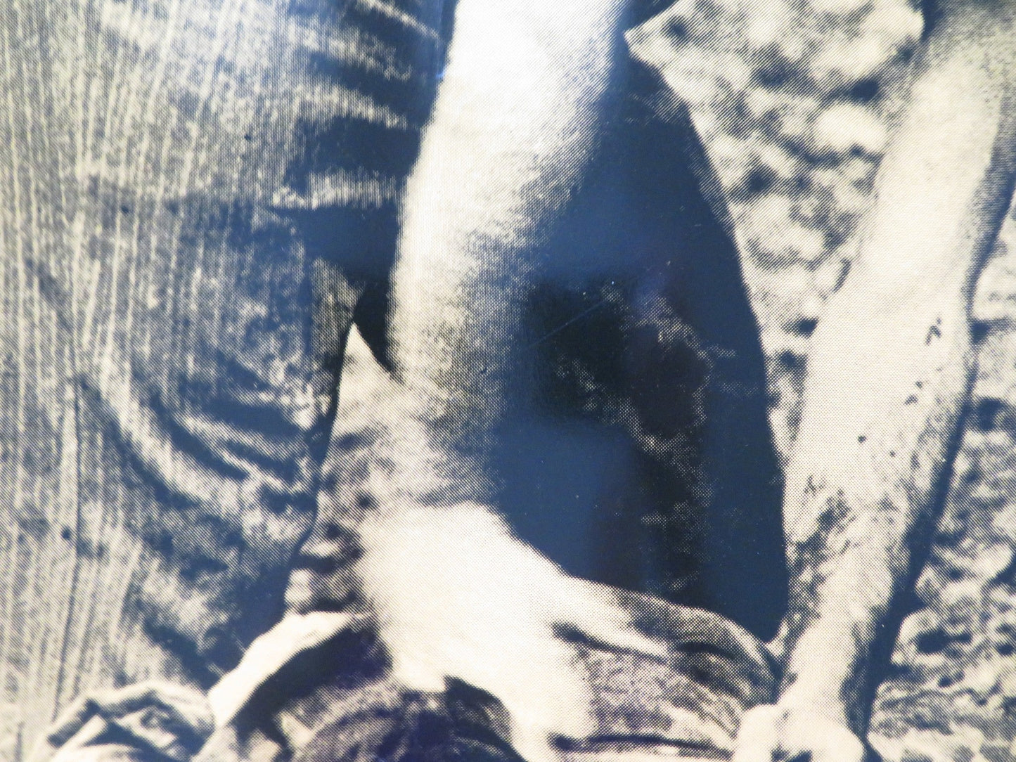 I EVEN MET HAPPY GYPSIES - C ITALIAN FOTOBUSTA POSTER BEKIM FEHMIU KATARINA 1968 Rendezvous Cinema Movie posters