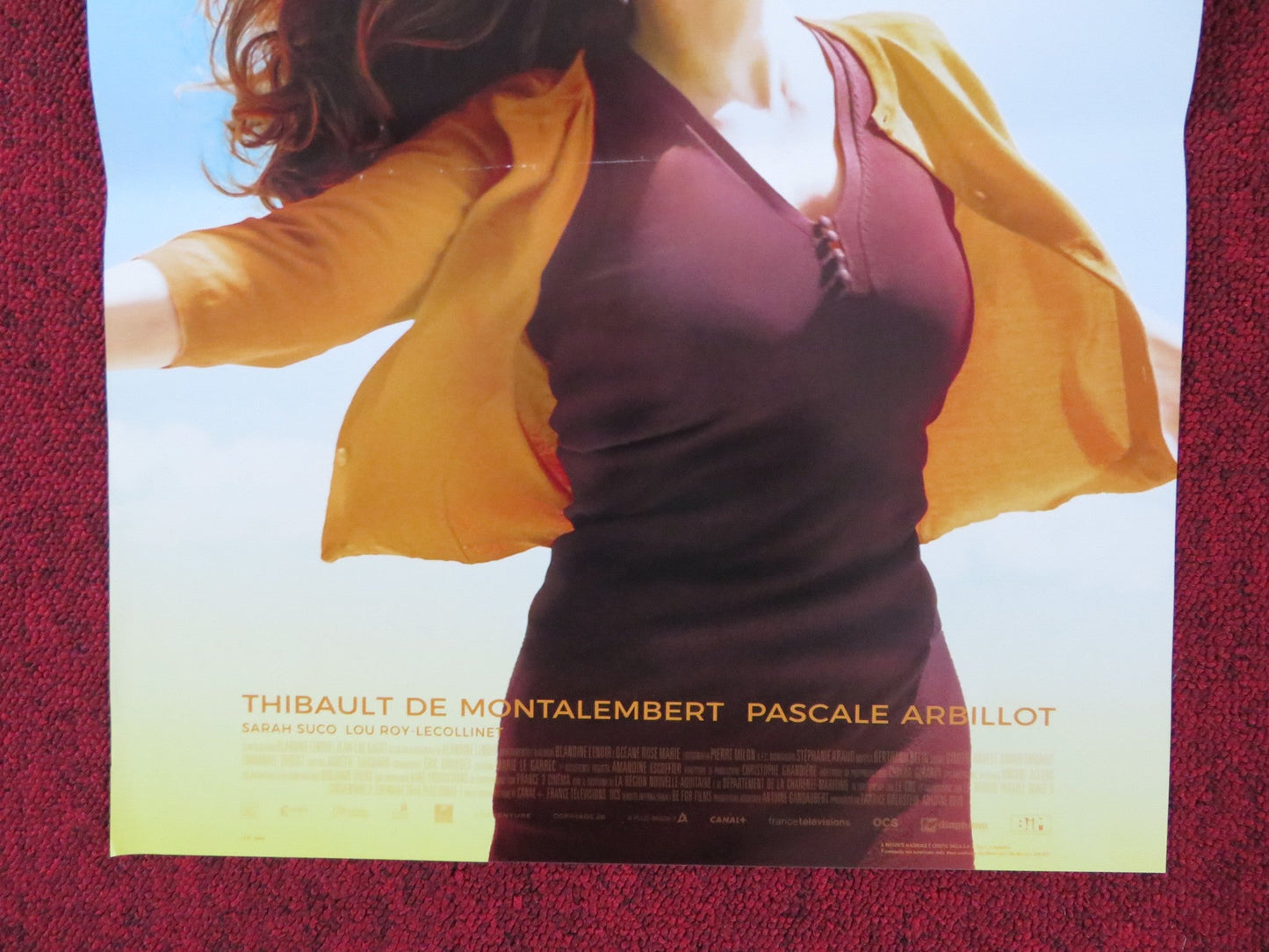 I GOT LIFE ITALIAN LOCANDINA POSTER AGNES JAOUI PASCALE ARBILLOT 2017 Rendezvous Cinema Movie posters