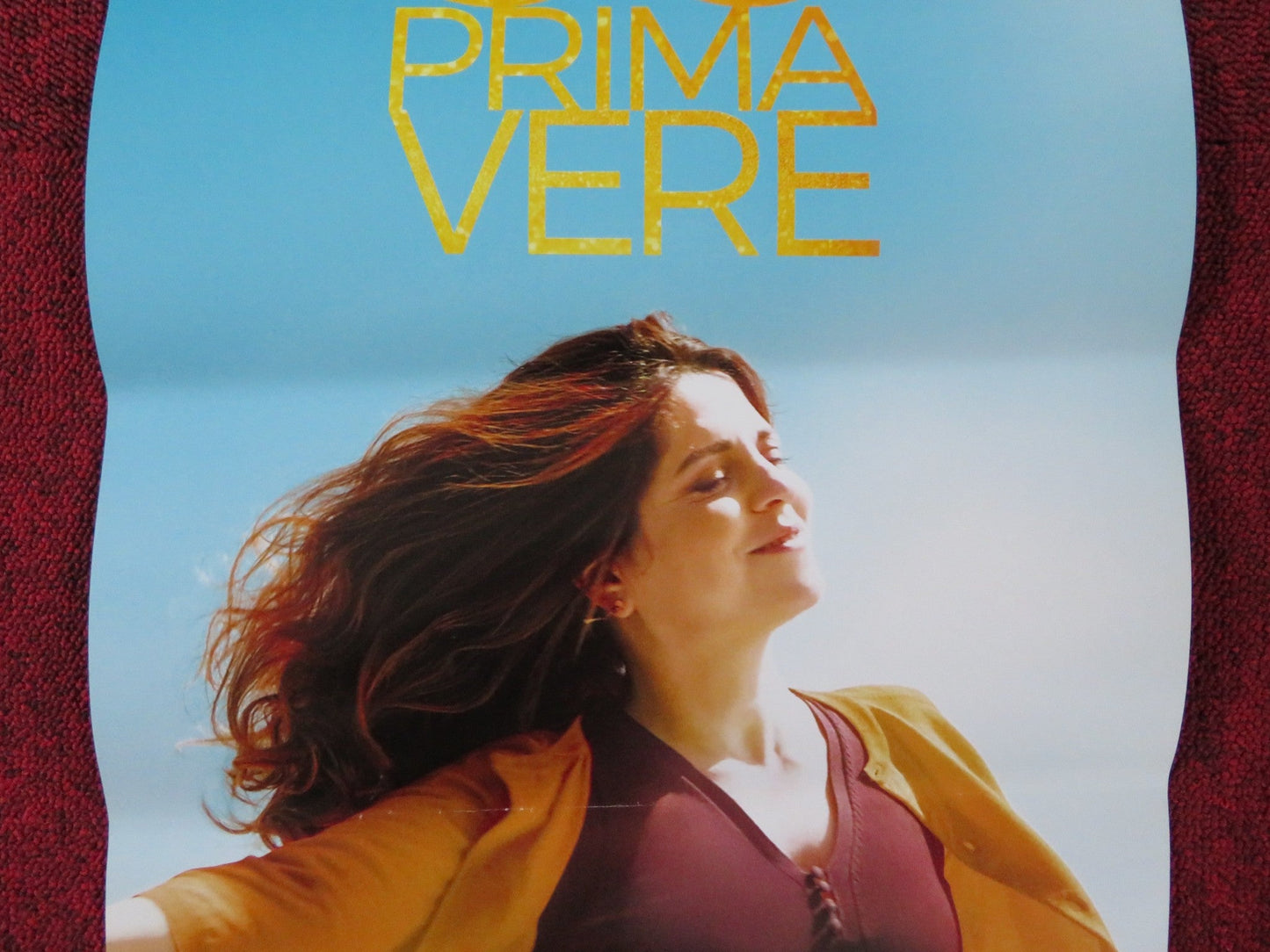 I GOT LIFE ITALIAN LOCANDINA POSTER AGNES JAOUI PASCALE ARBILLOT 2017 Rendezvous Cinema Movie posters