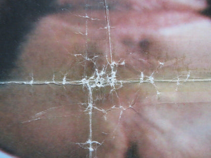 I GUAPPI ITALIAN FOGLIO ROLLED POSTER FRANCO NERO FABIO TESTI 1974 Movie posters