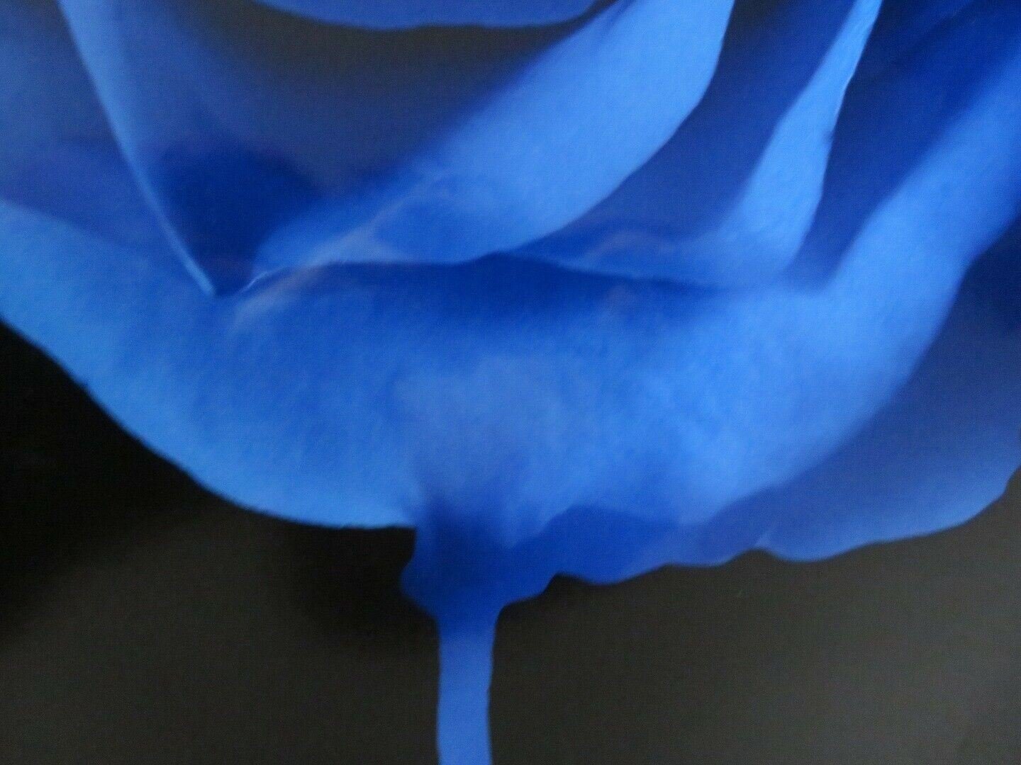 I KNOW WHO KILLED ME US ONE SHEET ROLLED POSTER LINDSEY LOHAN 2007 Movie posters