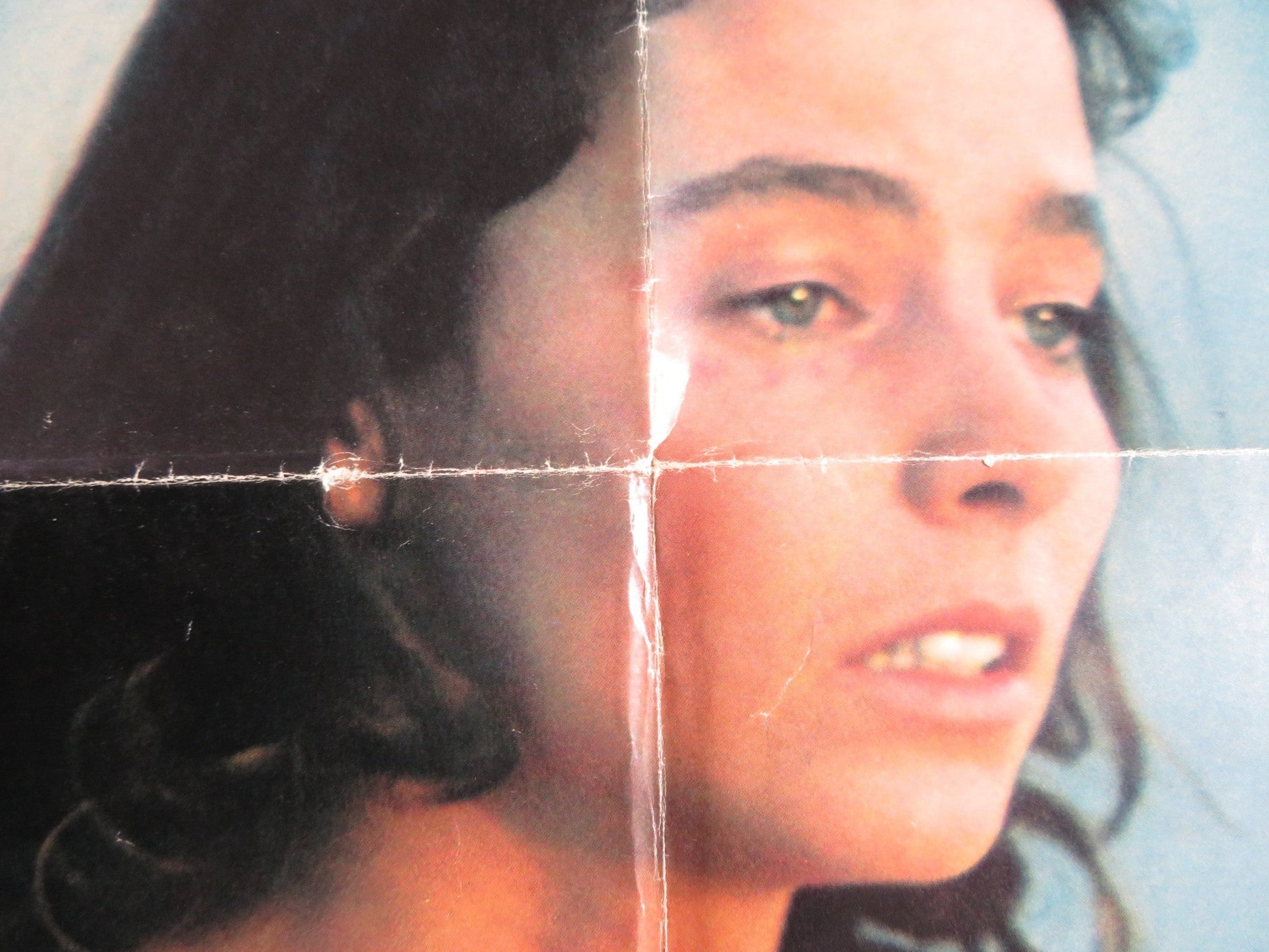 I NEVER PROMISED YOU A ROSE GARDEN FOLDED US ONE SHEET POSTER K. QUINLAN 1977 Rendezvous Cinema Movie posters