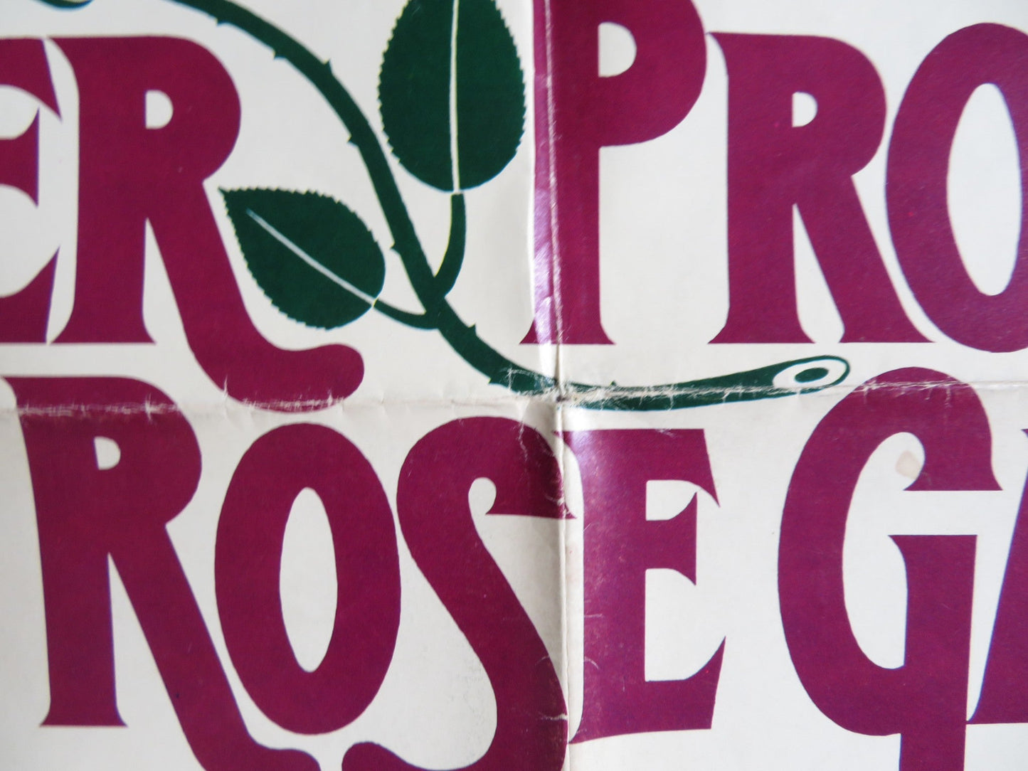 I NEVER PROMISED YOU A ROSE GARDEN FOLDED US ONE SHEET POSTER K. QUINLAN 1977 Rendezvous Cinema Movie posters