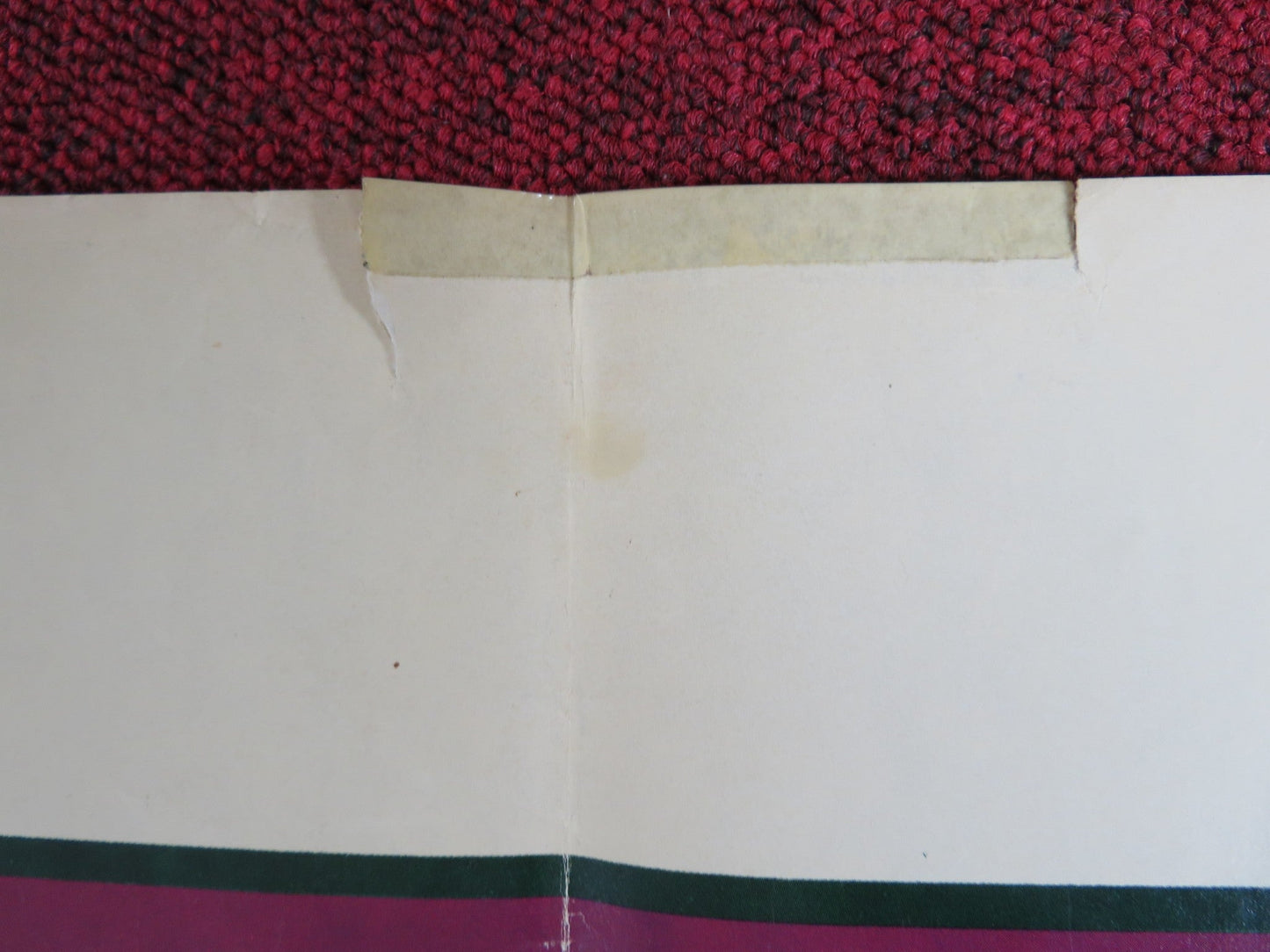 I NEVER PROMISED YOU A ROSE GARDEN FOLDED US ONE SHEET POSTER K. QUINLAN 1977 Rendezvous Cinema Movie posters