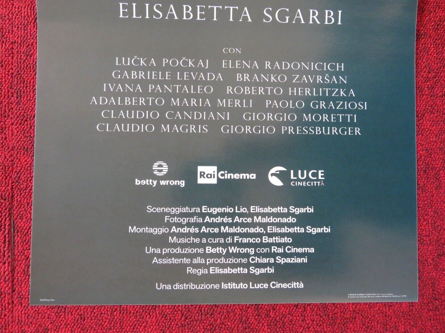 I NOMI DEL SIGNOR SULCIC ITALIAN LOCANDINA (26.5"x12.5") POSTER L POCKAJ 2018 Movie posters