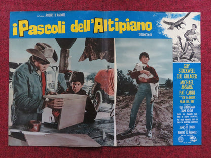 I PASCOLI DELL'ALTIPIANO - A ITALIAN FOTOBUSTA POSTER CARDI GUY STOCKWELL 1966 Rendezvous Cinema Movie posters