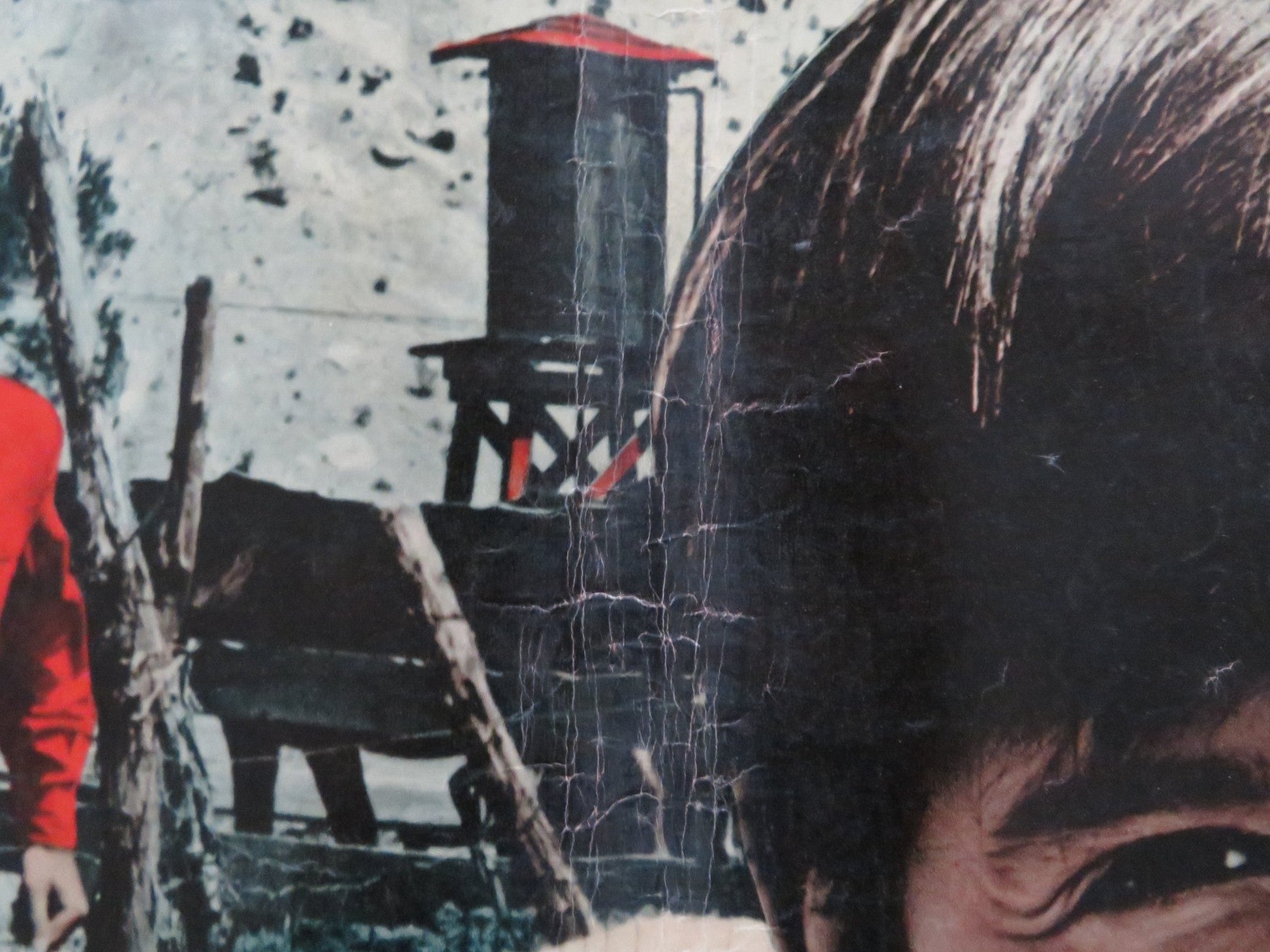 I PASCOLI DELL'ALTIPIANO - C ITALIAN FOTOBUSTA POSTER CARDI GUY STOCKWELL 1966 Rendezvous Cinema Movie posters