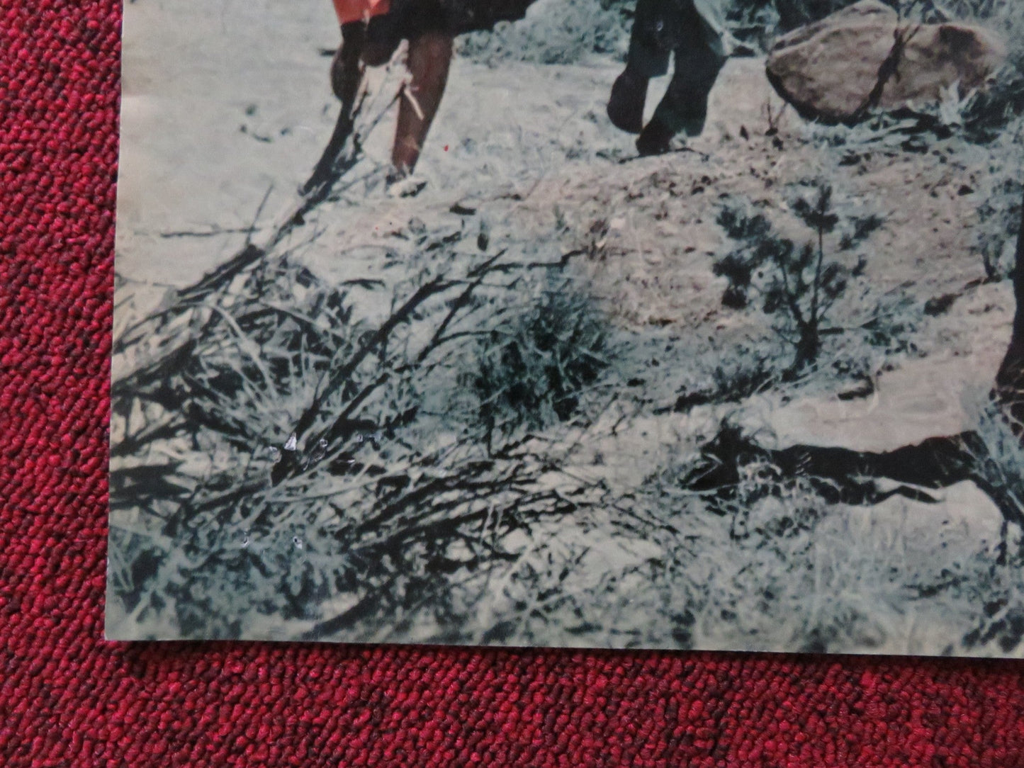 I PASCOLI DELL'ALTIPIANO - C ITALIAN FOTOBUSTA POSTER CARDI GUY STOCKWELL 1966 Rendezvous Cinema Movie posters