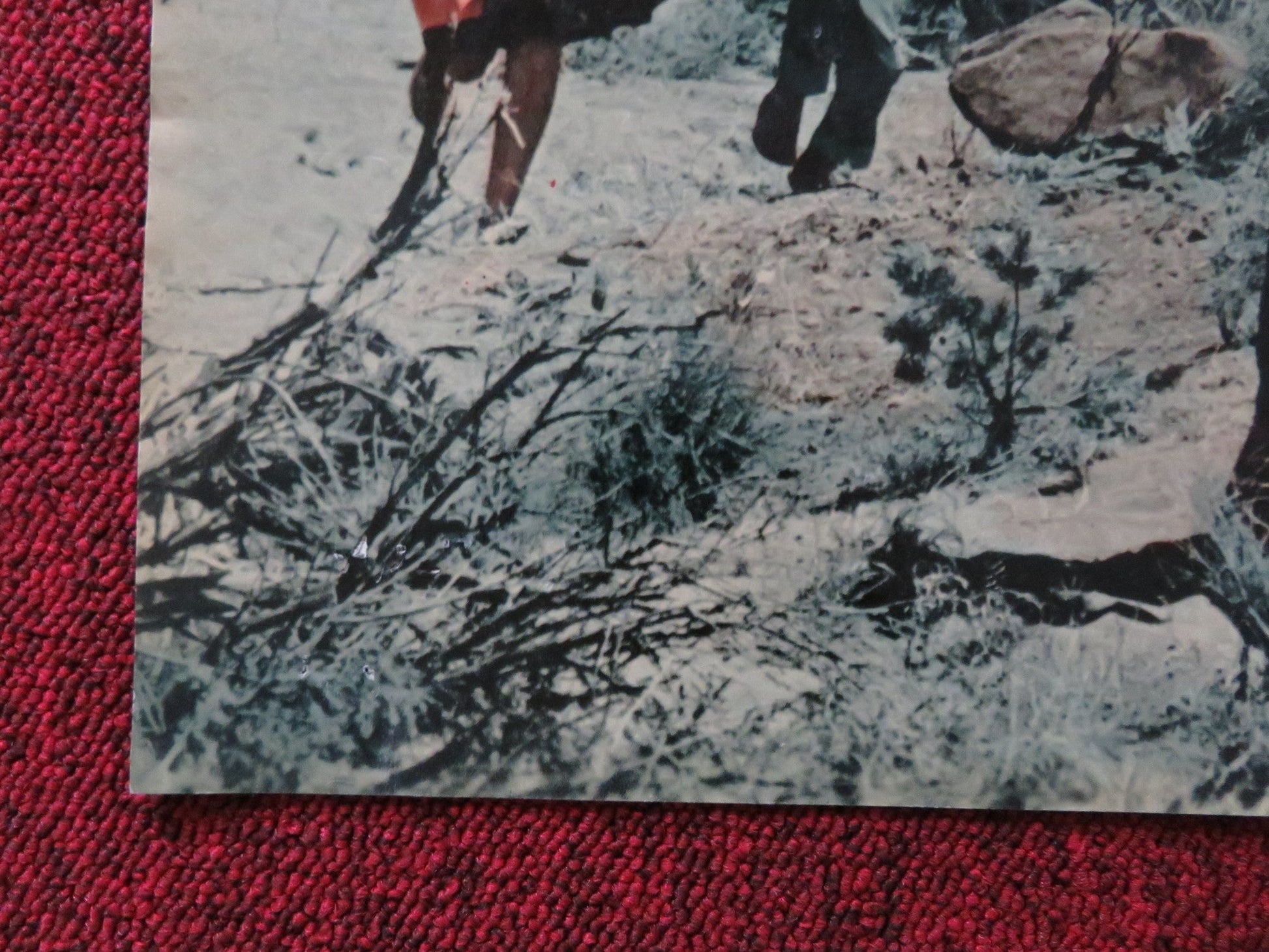 I PASCOLI DELL'ALTIPIANO - C ITALIAN FOTOBUSTA POSTER CARDI GUY STOCKWELL 1966 Rendezvous Cinema Movie posters