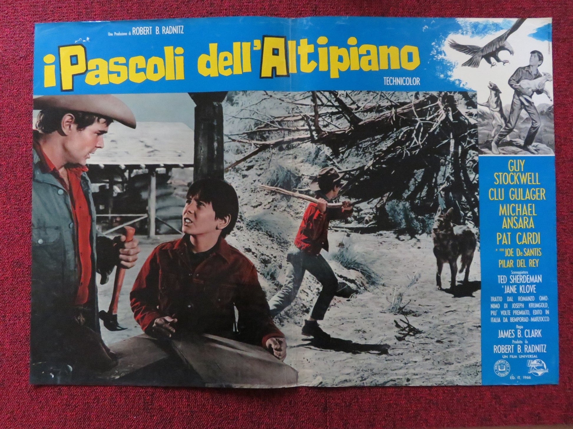 I PASCOLI DELL'ALTIPIANO - E ITALIAN FOTOBUSTA POSTER CARDI GUY STOCKWELL 1966 Rendezvous Cinema Movie posters