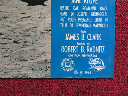 I PASCOLI DELL'ALTIPIANO - E ITALIAN FOTOBUSTA POSTER CARDI GUY STOCKWELL 1966 Rendezvous Cinema Movie posters