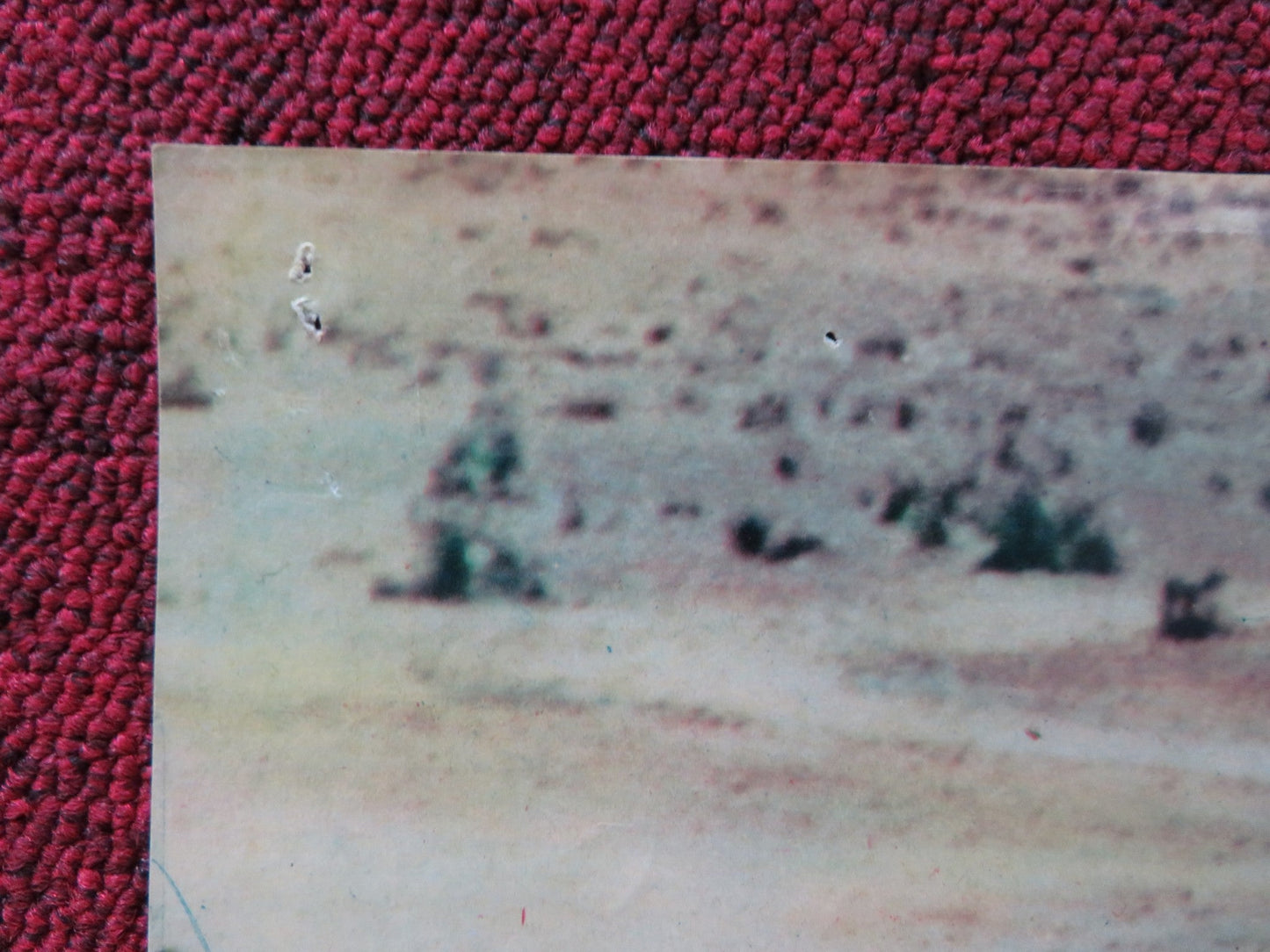 I PIONIERI DELLA CALIFORNIA - C ITALIAN FOTOBUSTA POSTER ROD CAMERON J. DRU 1954 Rendezvous Cinema Movie posters