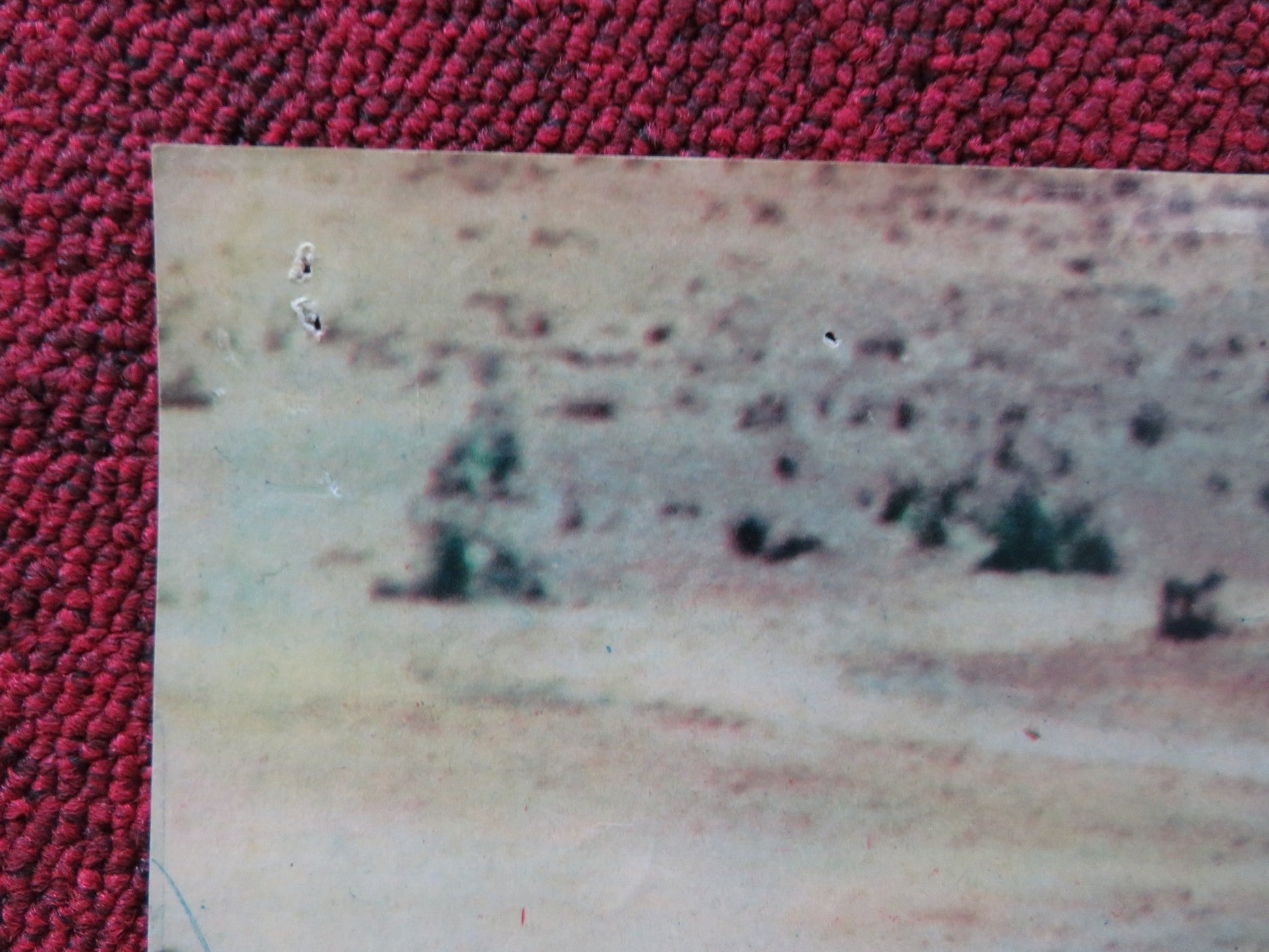 I PIONIERI DELLA CALIFORNIA - C ITALIAN FOTOBUSTA POSTER ROD CAMERON J. DRU 1954 Rendezvous Cinema Movie posters