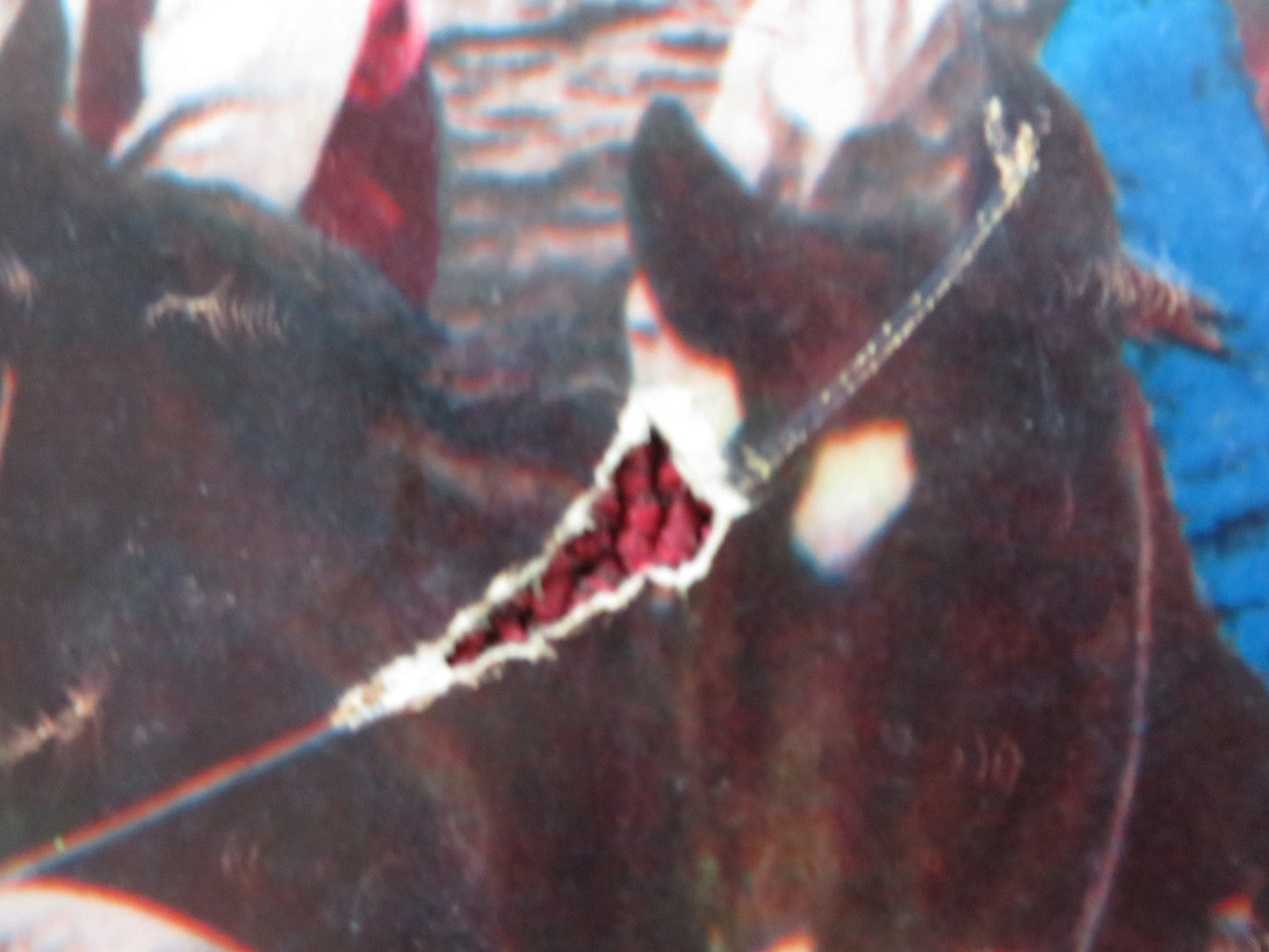 I PIONIERI DELLA CALIFORNIA - E ITALIAN FOTOBUSTA POSTER ROD CAMERON J. DRU 1954 Rendezvous Cinema Movie posters