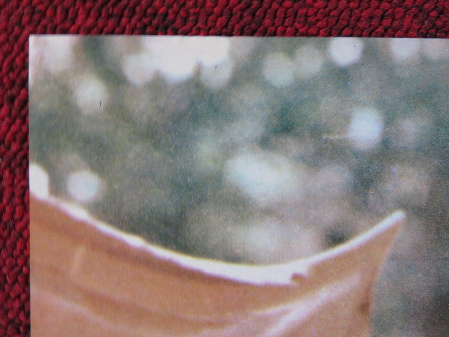 I RAGAZZI FIC FIC - A ITALIAN FOTOBUSTA POSTER JEAN MARC LONGVAL SYLVA GREEN 1979 Rendezvous Cinema Movie posters