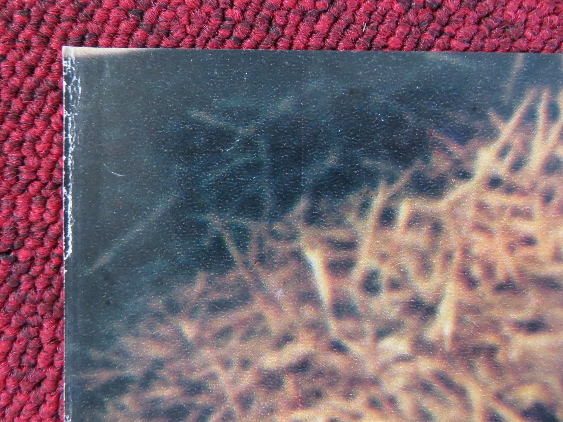 I RAGAZZI FIC FIC - D ITALIAN FOTOBUSTA POSTER JEAN MARC LONGVAL SYLVA GREEN 1979 Rendezvous Cinema Movie posters