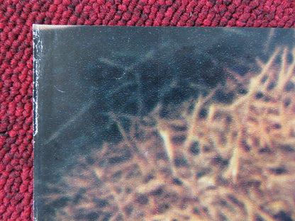 I RAGAZZI FIC FIC - D ITALIAN FOTOBUSTA POSTER JEAN MARC LONGVAL SYLVA GREEN 1979 Rendezvous Cinema Movie posters