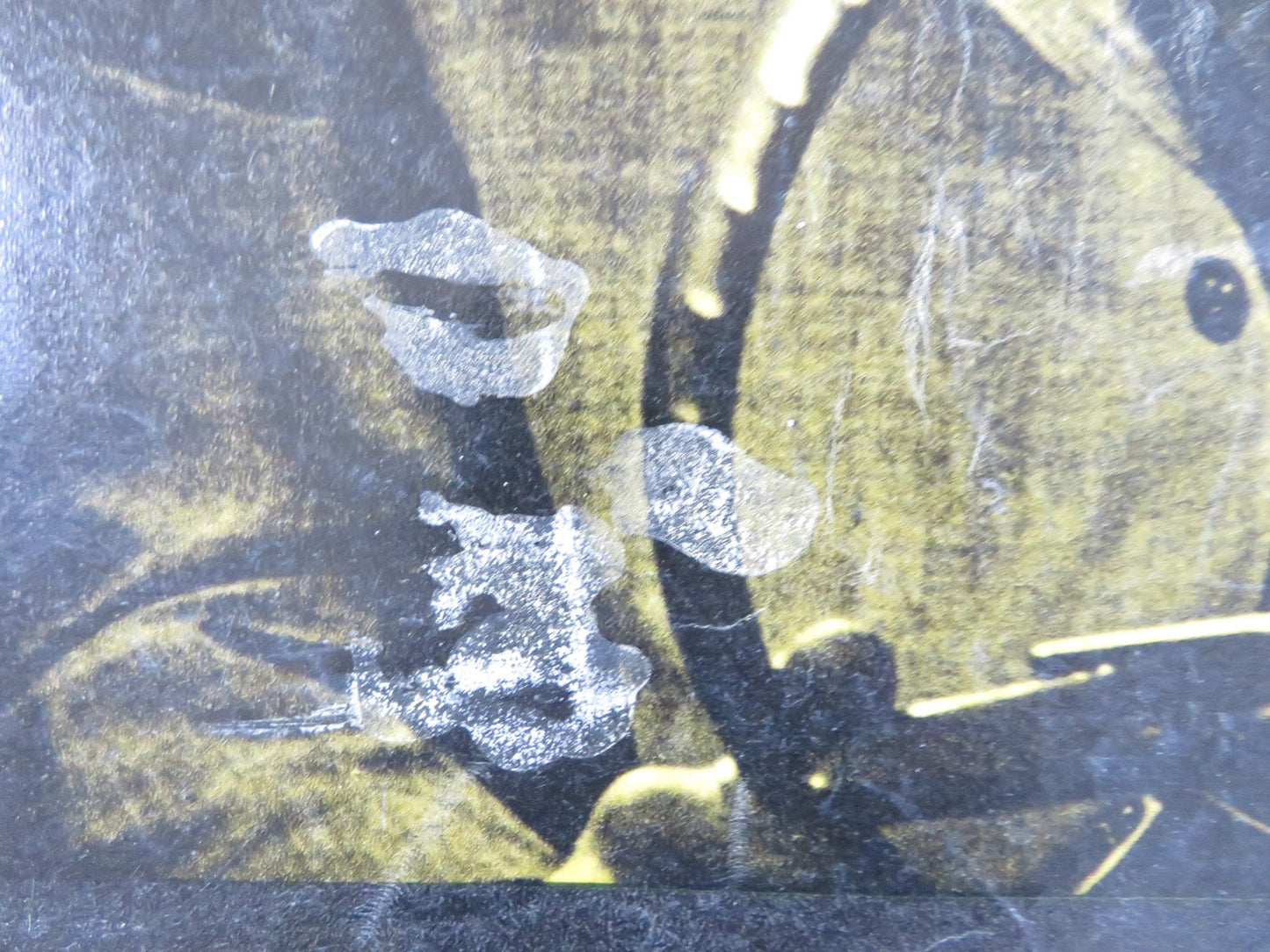 I SAW WHAT YOU DID - E ITALIAN FOTOBUSTA POSTER JOAN CRAWFORD JOHN IRELAND 1965 Rendezvous Cinema Movie posters