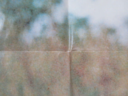 I WALK THE LINE US ONE SHEET POSTER GREGORY PECK ESTELLE PARSONS 1970 Movie posters