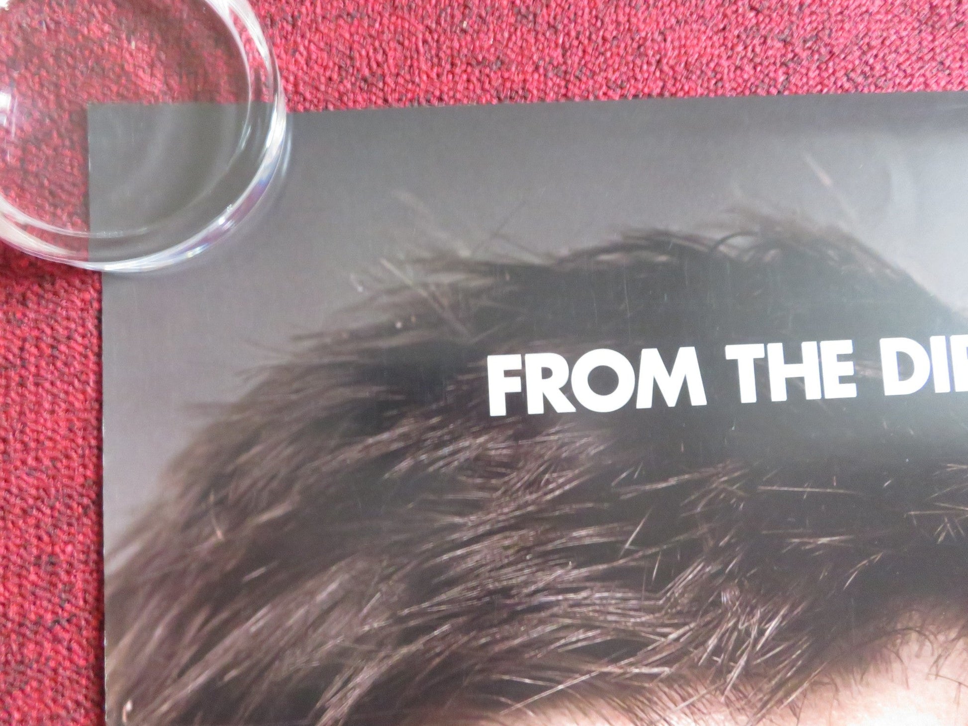 IDENTITY THIEF US ONE SHEET ROLLED POSTER JASON BATEMAN MELISSA MCCARTHY 2013 Rendezvous Cinema Movie posters