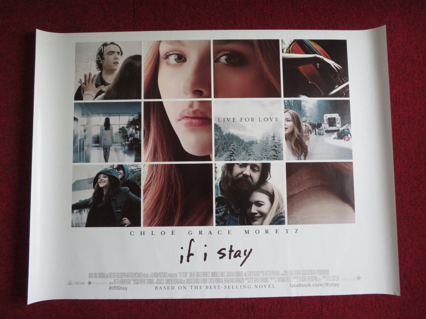 IF I STAY UK QUAD (30"x 40") ROLLED POSTER CHLOE GRACE MORETZ MIREILLE ENOS 2014 Rendezvous Cinema Movie posters