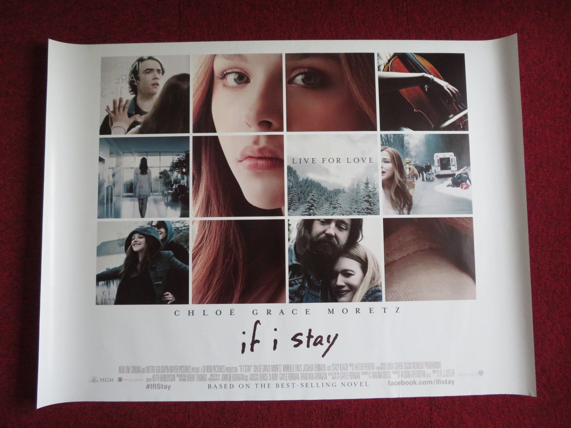 IF I STAY UK QUAD (30"x 40") ROLLED POSTER CHLOE GRACE MORETZ MIREILLE ENOS 2014 Rendezvous Cinema Movie posters