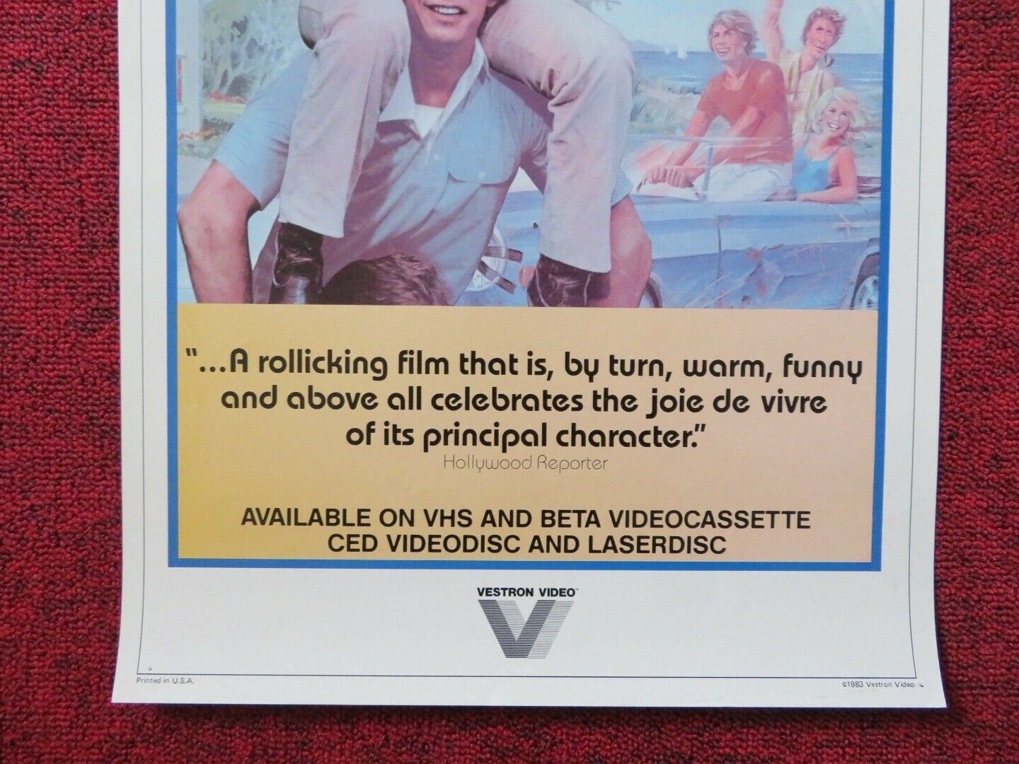 IF YOU COULD SEE WHAT I HEAR US (12"x 24") POSTER VHS MARC SINGER 1982 Rendezvous Cinema Movie posters