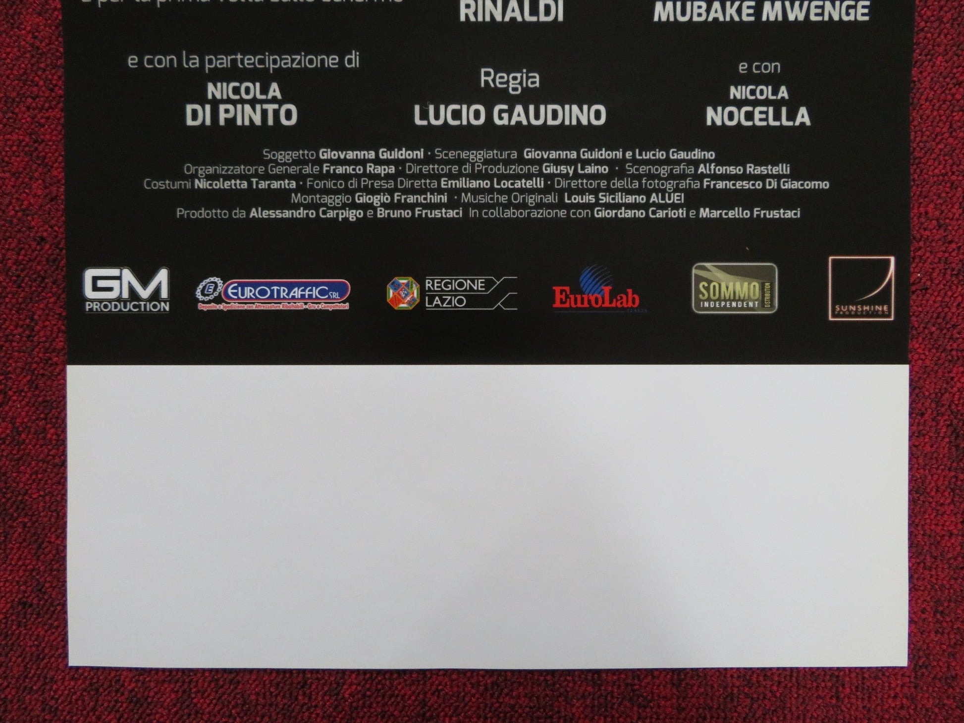 IL CAMIONISTA ITALIAN LOCANDINA POSTER SIMONA BORIONI PIPPO DELBONO 2016 Rendezvous Cinema Movie posters