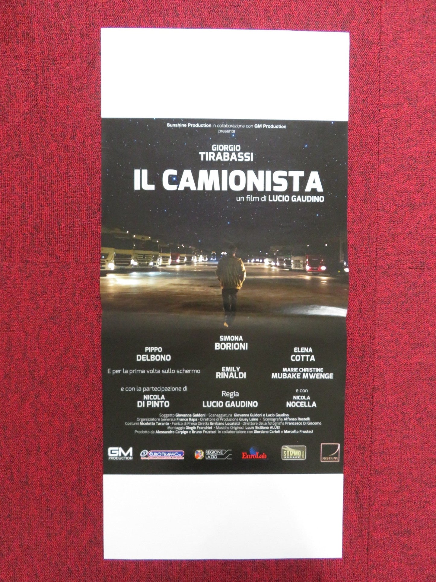 IL CAMIONISTA ITALIAN LOCANDINA POSTER SIMONA BORIONI PIPPO DELBONO 2016 Rendezvous Cinema Movie posters