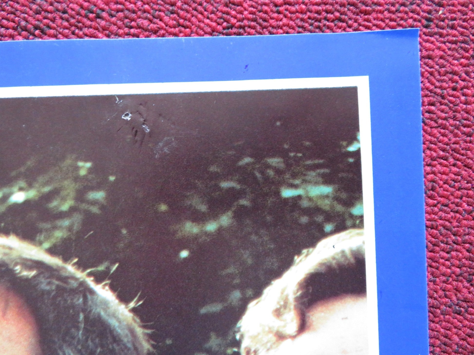 IL DECLINO DELL' IMPERO AMERICANO - B ITALIAN FOTOBUSTA POSTER D. MICHEL 1986 Rendezvous Cinema Movie posters