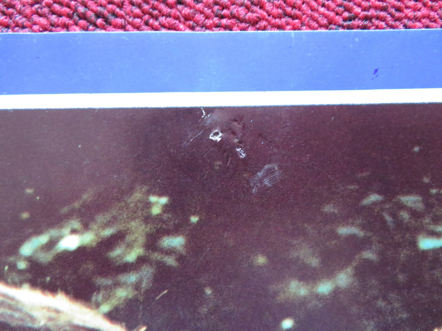 IL DECLINO DELL' IMPERO AMERICANO - B ITALIAN FOTOBUSTA POSTER D. MICHEL 1986 Rendezvous Cinema Movie posters