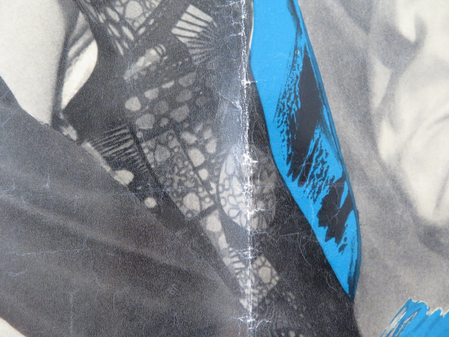 IL GAUCHO ITALIAN FOTOBUSTA POSTER VITTORIO GASSMAN AMEDEO NAZZARI 1964 Rendezvous Cinema Movie posters