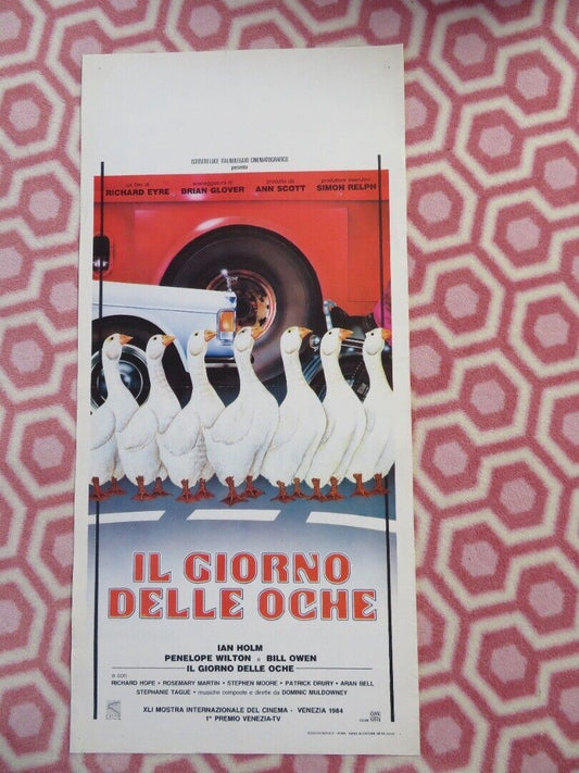 IL GIORNO DELLE OCHE/ Singleton's Pluck ITALIAN LOCANDINA (27.5"x13") POSTER '84 Movie posters