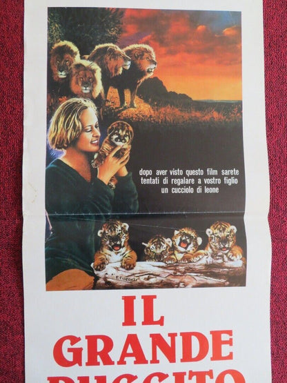 IL GRANDE RUGGITO / Roar ITALIAN LOCANDINA(27.5"x13") POSTER 1981 Movie posters
