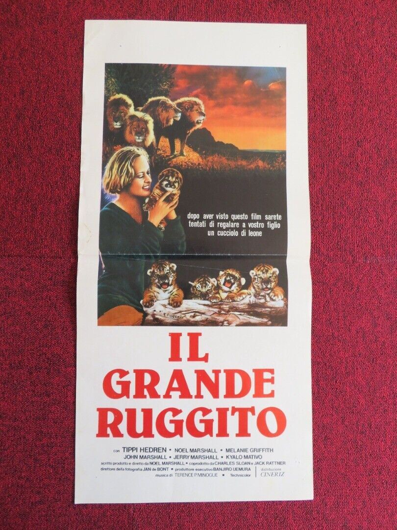 IL GRANDE RUGGITO / Roar ITALIAN LOCANDINA(27.5"x13") POSTER 1981 Movie posters