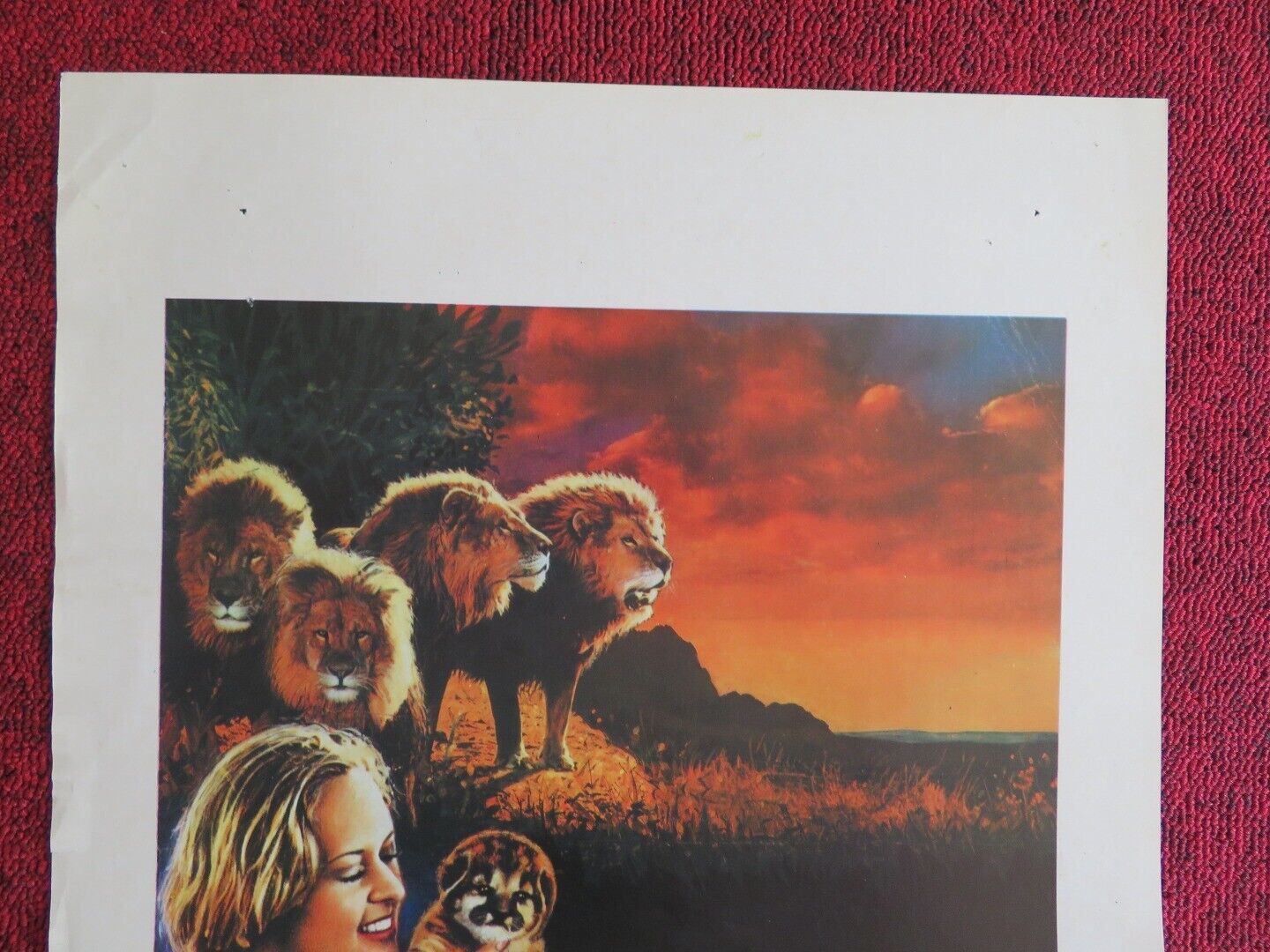 IL GRANDE RUGGITO / Roar ITALIAN LOCANDINA(27.5"x13") POSTER 1981 Movie posters