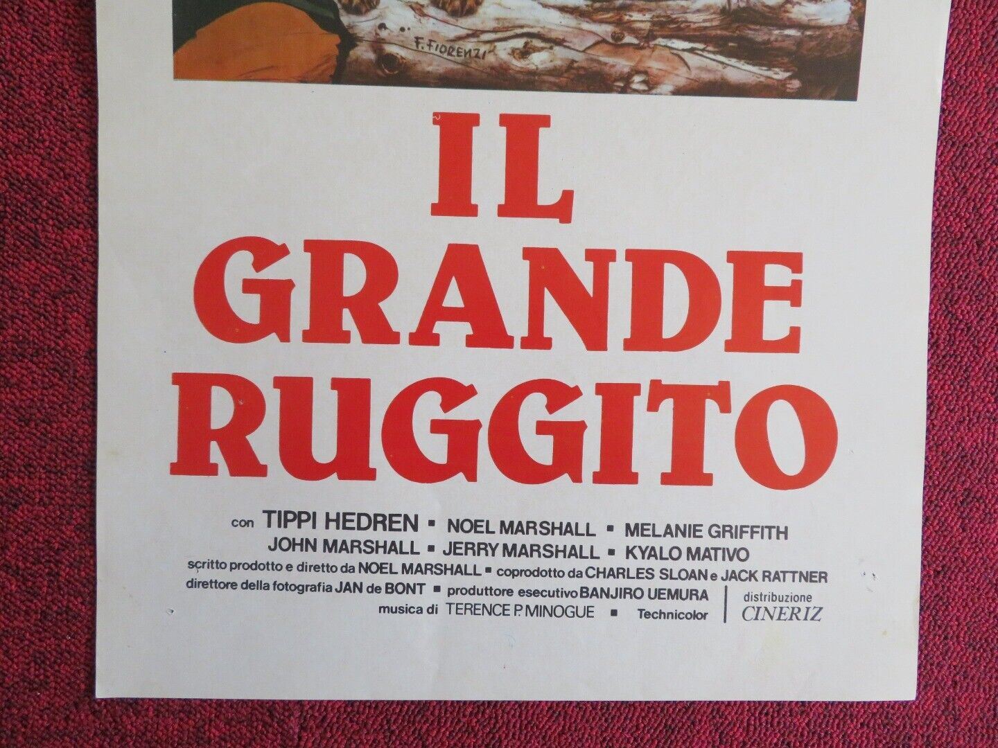 IL GRANDE RUGGITO / Roar ITALIAN LOCANDINA(27.5"x13") POSTER 1981 Movie posters