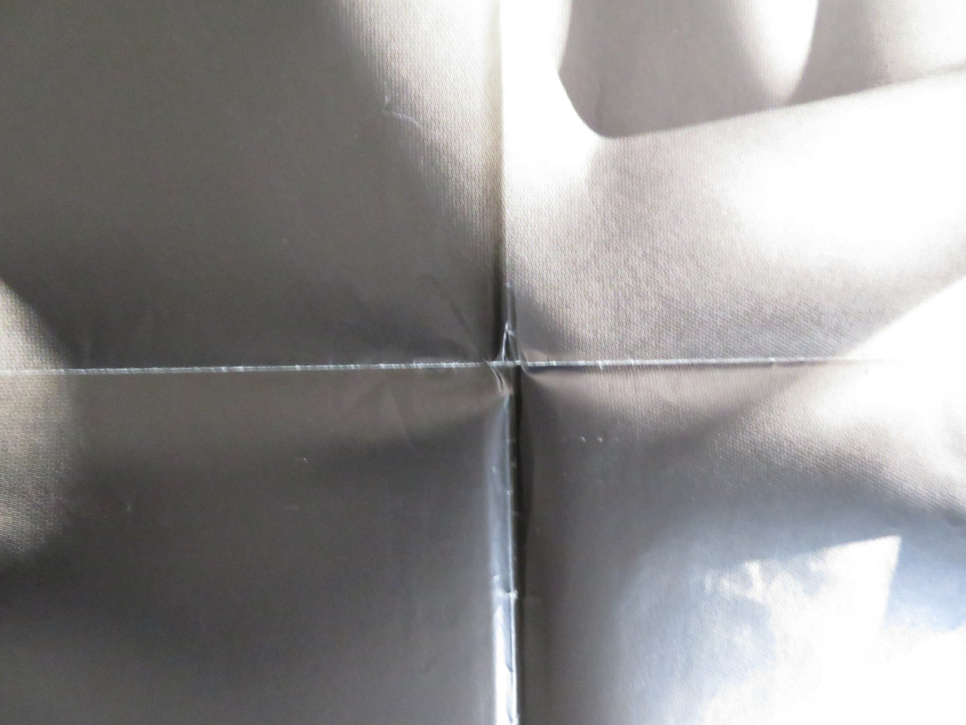 IL MACELLAIO / THE BUTCHER ITALIAN 2 FOGLIO POSTER ALBA PARIETTI MIKI MANOJLOVIC Rendezvous Cinema Movie posters