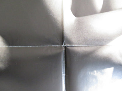 IL MACELLAIO / THE BUTCHER ITALIAN 2 FOGLIO POSTER ALBA PARIETTI MIKI MANOJLOVIC Rendezvous Cinema Movie posters