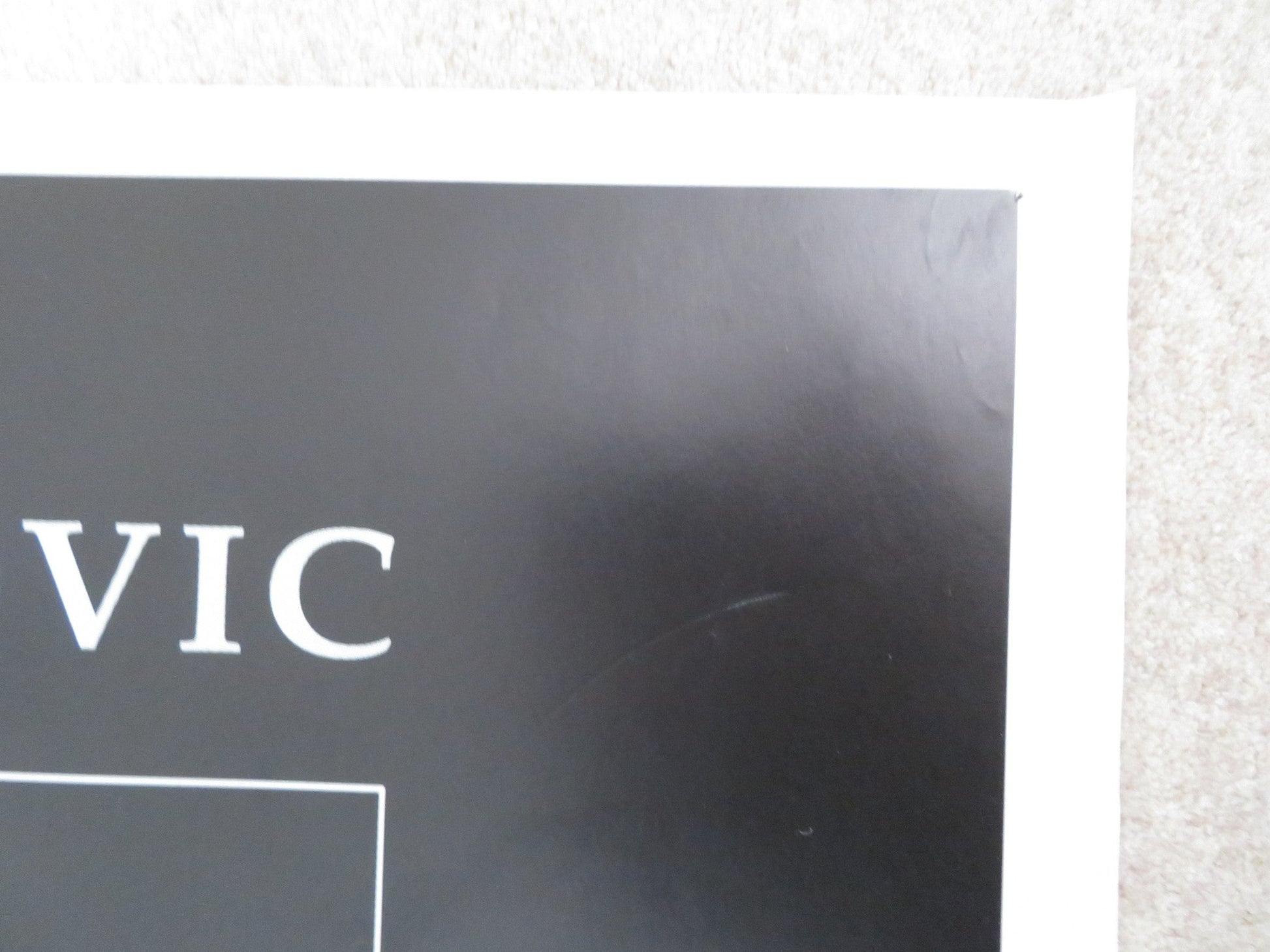 IL MACELLAIO / THE BUTCHER ITALIAN 2 FOGLIO POSTER ALBA PARIETTI MIKI MANOJLOVIC Rendezvous Cinema Movie posters