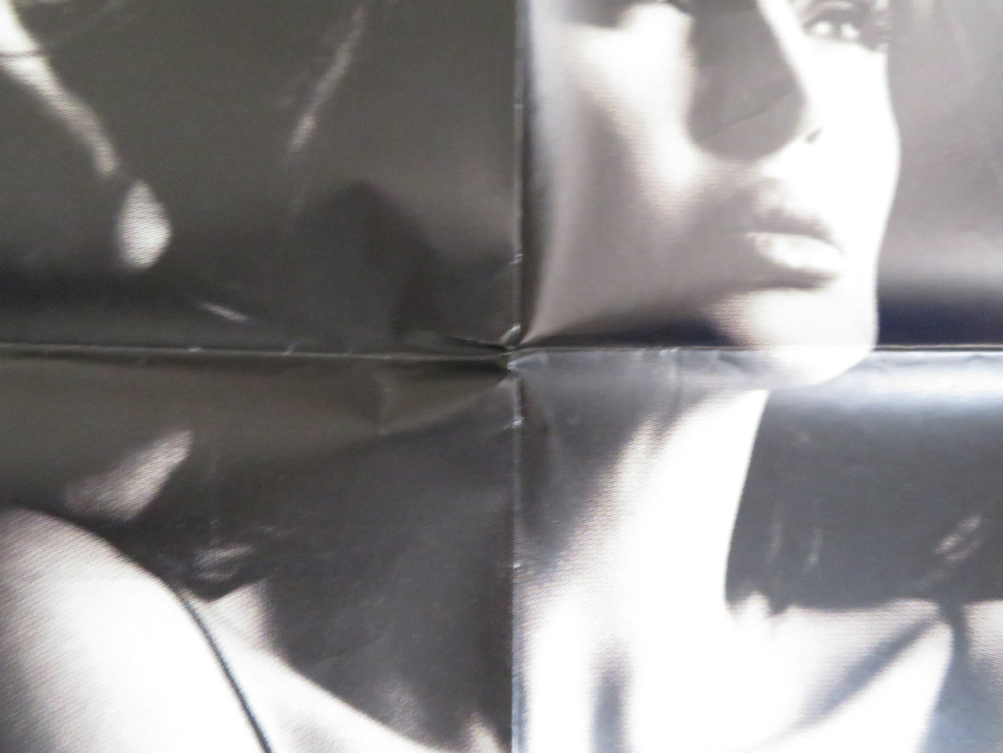 IL MACELLAIO / THE BUTCHER ITALIAN 2 FOGLIO POSTER ALBA PARIETTI MIKI MANOJLOVIC Rendezvous Cinema Movie posters