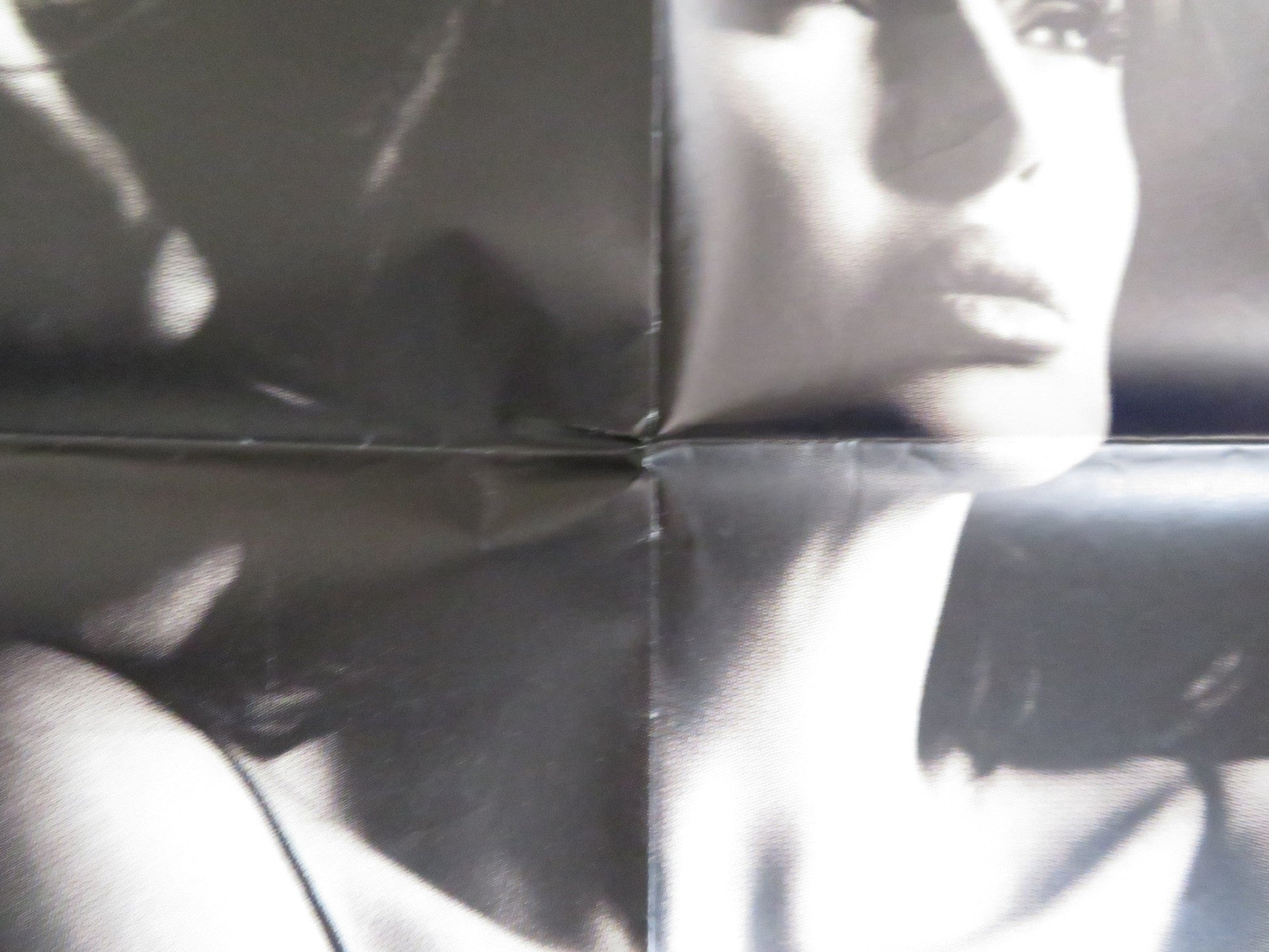 IL MACELLAIO / THE BUTCHER ITALIAN 2 FOGLIO POSTER ALBA PARIETTI MIKI MANOJLOVIC Rendezvous Cinema Movie posters