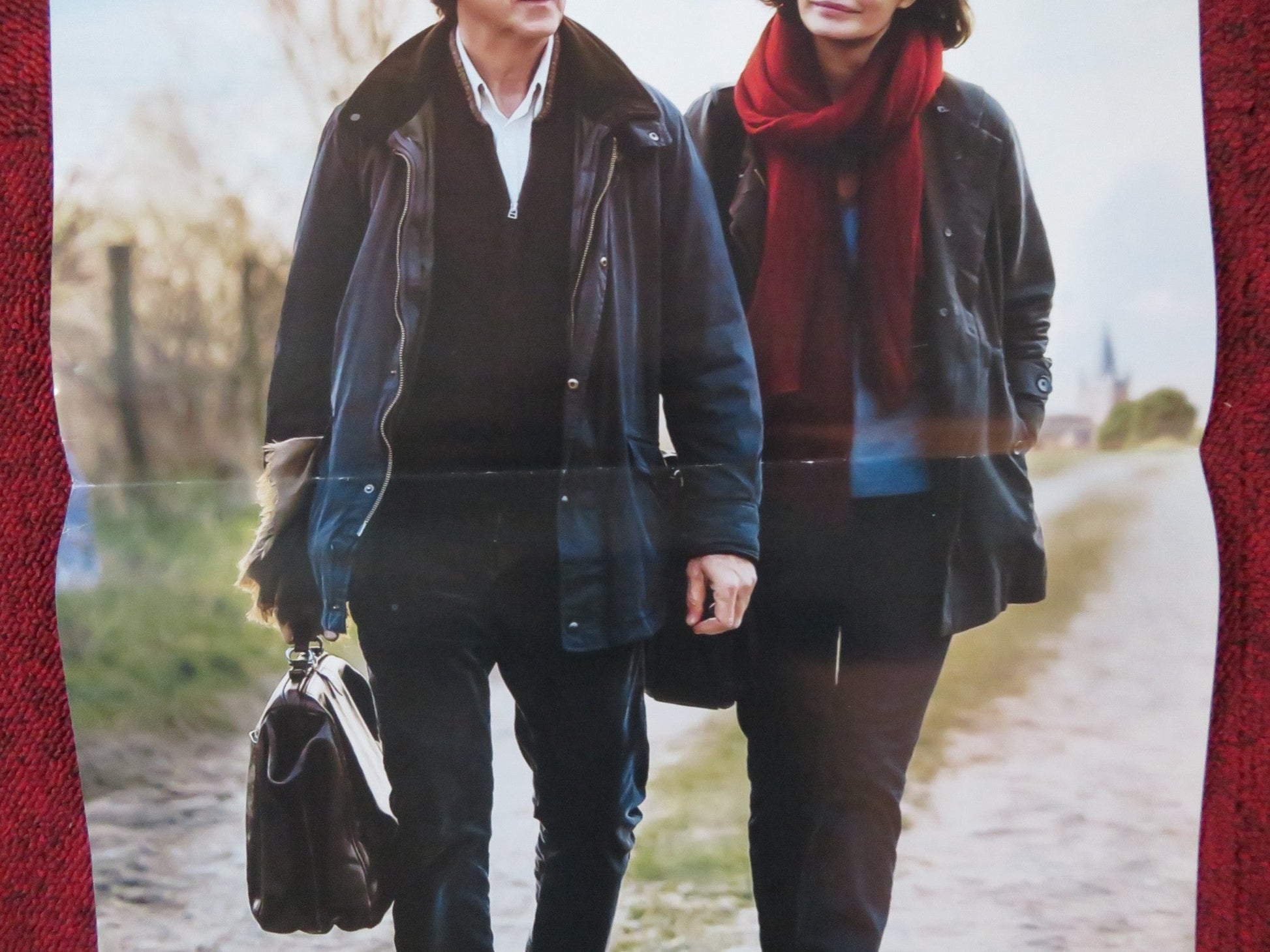 IL MEDICO DI CAMPAGNA ITALIAN LOCANDINA POSTER FRANCOIS CLUZET M. DENICOUR 2016 Rendezvous Cinema Movie posters