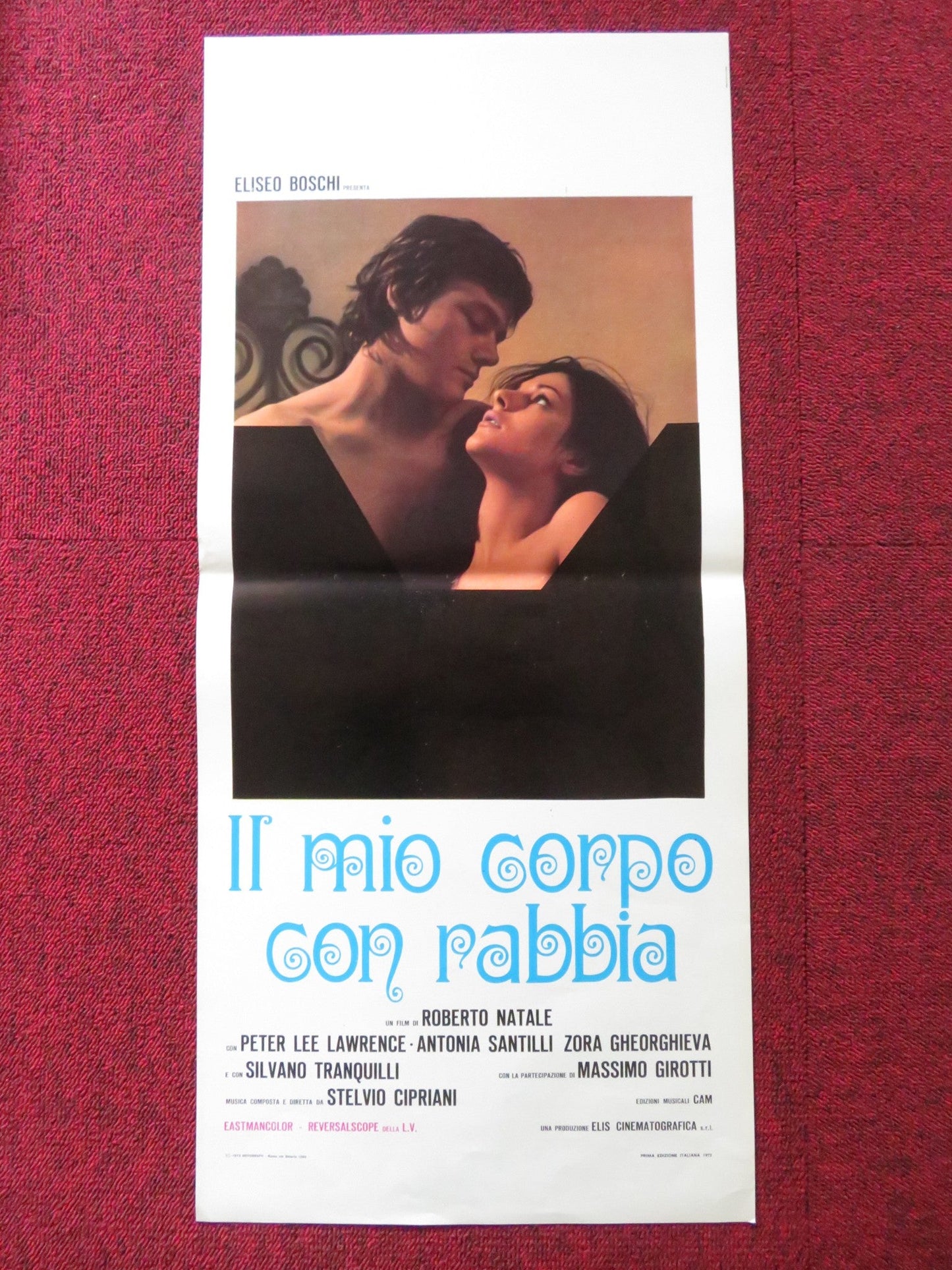 IL MIO CORPO CON RABBIA ITALIAN LOCANDINA POSTER PETER LEE LAWRENCE 1972 Rendezvous Cinema Movie posters