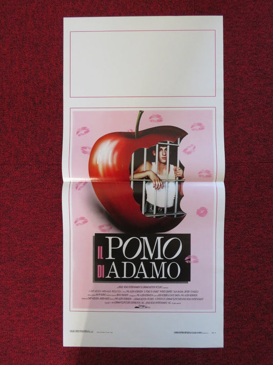 IL POMO DI ADAMO ITALIAN LOCANDINA POSTER PATRICK DEMPSEY TALIA BALSAM 1987 Rendezvous Cinema Movie posters