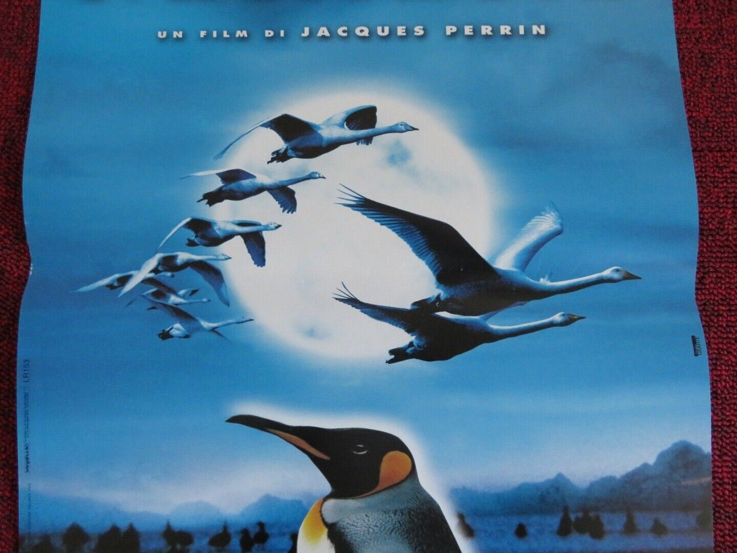 IL POPOLO MIGRATORE ITALIAN LOCANDINA (25"x12.5") POSTER JACQUES PERRIN 2001 - Rendezvous Cinema