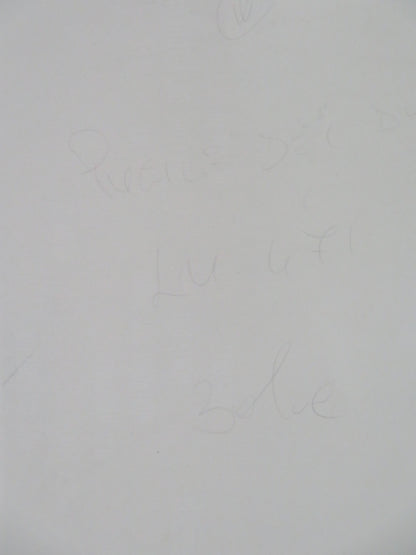 IL PUGILE DEL DUCE ITALIAN LOCANDINA POSTER MAURO VALERI NICOLE JACOVACCI 2017 Rendezvous Cinema Movie posters