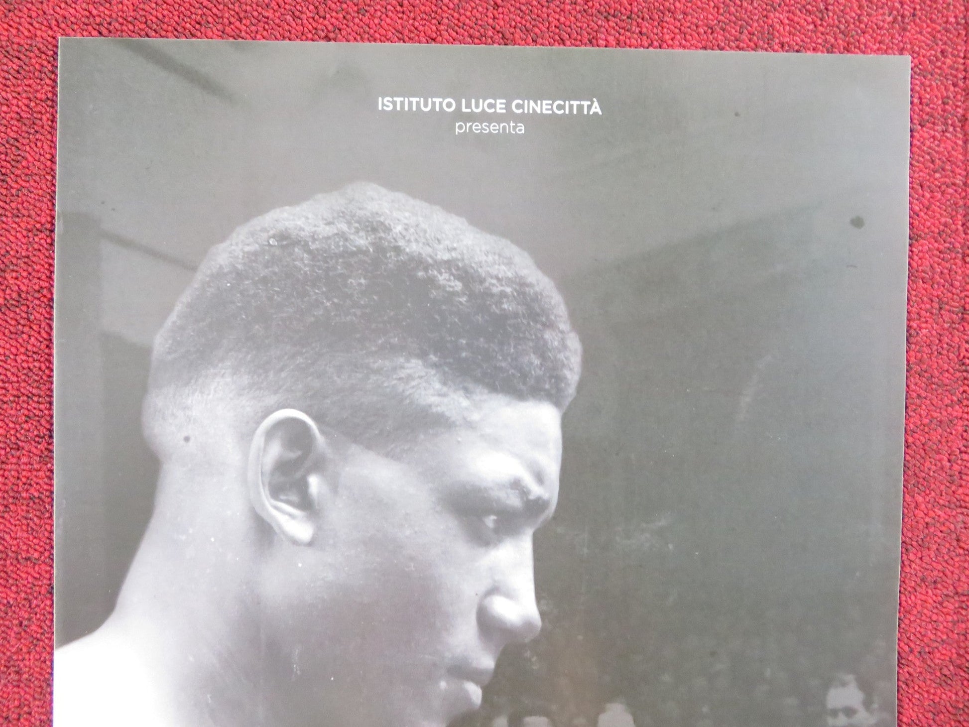 IL PUGILE DEL DUCE ITALIAN LOCANDINA POSTER MAURO VALERI NICOLE JACOVACCI 2017 Rendezvous Cinema Movie posters